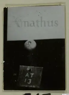 Small round find from Amathus photographed against black, with a label card above and a number label below