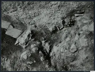 Finds in situ at Cholades, Soli, during excavation: pale objects and stones lying in excavated ground.