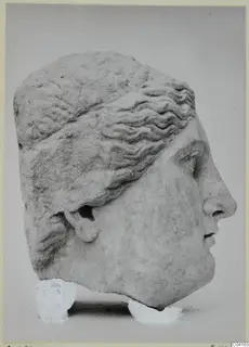 Marble sculpture of a head in profile facing right, from Soli