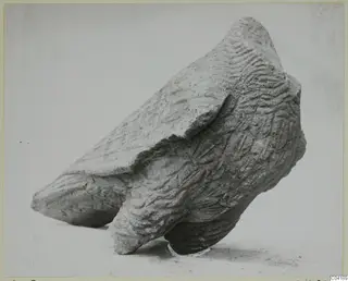 Sculpture fragment from Soli in carved stone, with a pointed projection and wavy incised surface