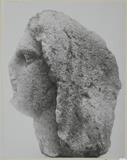 Stone statue fragment from Soli, with the face in profile at left against a plain background