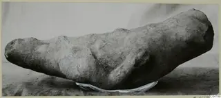 Marble sculpture fragment from Soli, an elongated carved stone piece with a rounded broken end, lying on a plain surface