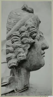 Stone head from a statue from Soli, shown in profile facing right.