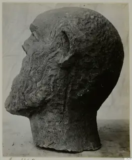Stone statue head from Soli, shown in side profile with a bearded face and short hair.
