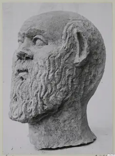Bearded male head in limestone, turned to the right, with a broken neck.