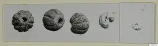 Small ribbed beads from Milia with central holes, photographed on a card mount