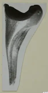 Find from Amathus, T. 2-26: a tapering object with a broad, dark upper end, photographed on a card.