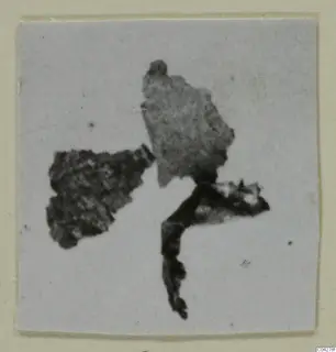Dark, irregular fragments from Amathus, shown in a small photograph on a card mount