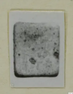 Small blurred photograph of a find from Amathus, mounted on a cream card