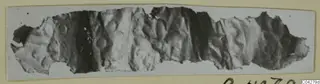 Long strip of embossed gold sheet with torn edges, from Amathus, shown on a pale card mount