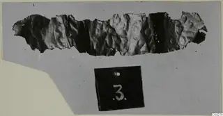 Torn strip of thin metal with rows of embossed bumps, a find from Amathus, lying on a grey card beside a number label.