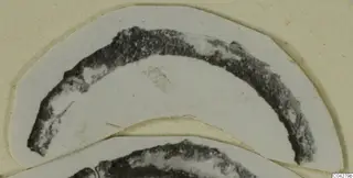 Corroded bronze loop fragment from Amathus, shown on a curved white card mount