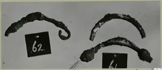 Three corroded bronze loops or bands photographed on a plain background, with two number labels beside them.
