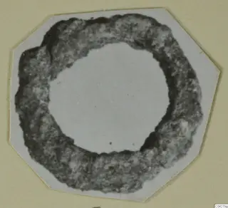 Corroded ring-shaped bronze object from Amathus, photographed face on against a white card.