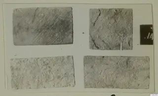 Four flat grey fragments laid out on a white card, recorded as bone from Amathus