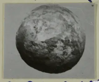 Rounded, mottled object from Amathus shown as a single photograph on a card mount