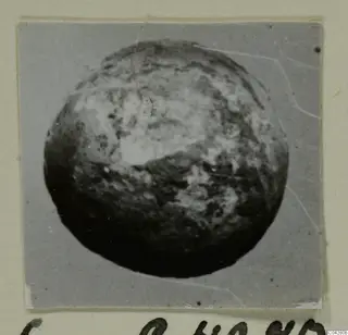 Rounded find, recorded as a bone, from Amathus, shown close up on a grey mount