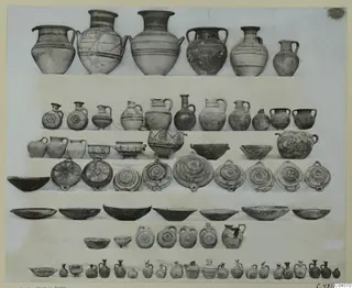 Rows of pottery vessels from Amathus, Tomb 14, arranged in ranks on a light background