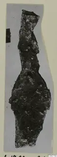 Corroded iron weapon from Amathus, photographed on a grey card.