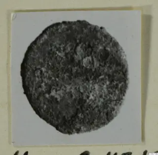Round, dark find from Amathus, photographed on a pale card mount.
