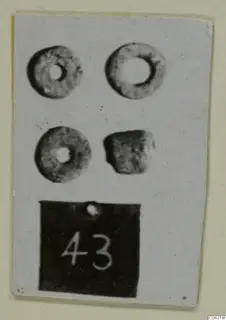 Four small ring-shaped and bead-like objects from Amathus, photographed on a card with a number label