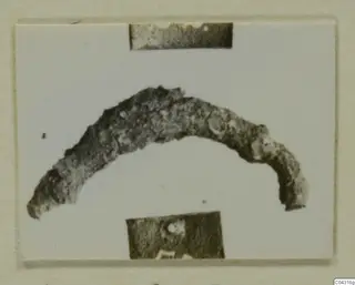 Curved, corroded bronze fragment of a personal adornment from Amathus, shown on a mounted print