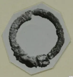 Corroded bronze ring from Amathus, broken in two places, shown on a white octagonal card.