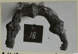 Corroded bronze arc-shaped adornment from Amathus, with a number label.