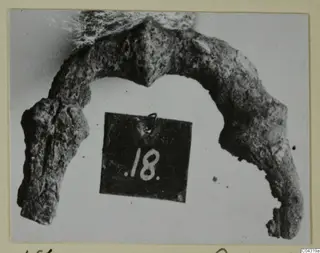 Corroded bronze arc-shaped object from Amathus, a personal adornment, photographed with a small number label beside it.