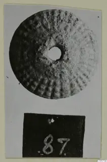 Disc-shaped object with a central hole and radiating ridged surface, shown with a number label below