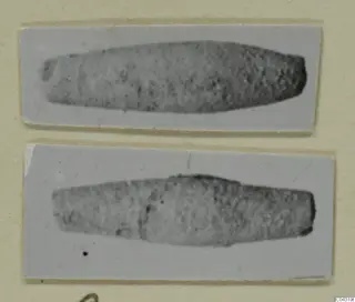 Two mounted photographs of elongated, tapering bronze objects from Amathus Tomb 2-26