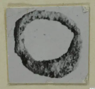 Ring-shaped find from Amathus, shown as a dark, mottled loop on a pale card
