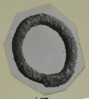 Ring-shaped bronze piece of jewellery from Amathus, photographed on a pale card mount.