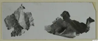 Two broken fragments of finds from Amathus, photographed side by side on a mounted print