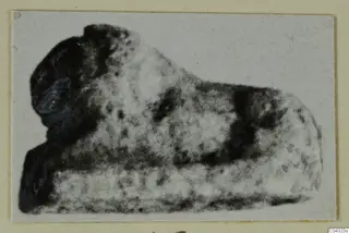 Broken find from Amathus, photographed on a cream card mount with a plain margin