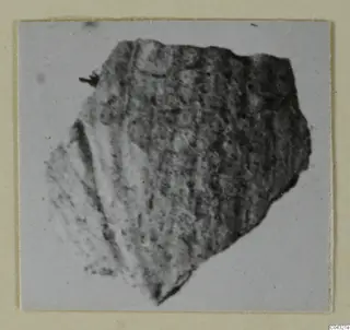 Faience fragment from Amathus with ribbed surface, shown as a grey-toned print on a pale card mount