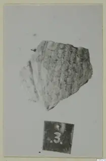 Faience fragment from Amathus with a ridged surface, photographed against a plain background