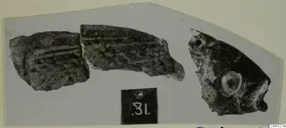 Three broken fragments of a dark object with pale bands, beside a black number label.