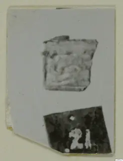 Blurred photograph of a small flat object with a relief pattern, mounted on card with a number-label print below, from Amathus