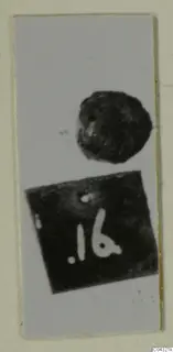 Small dark rounded object above a dark square tag with a white handwritten number label, on a mounted print