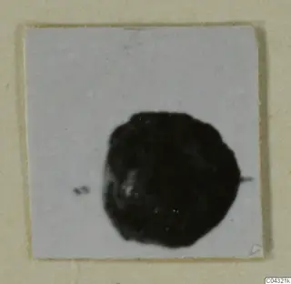 Dark, roughly round object shown on a small white card, a find from Amathus