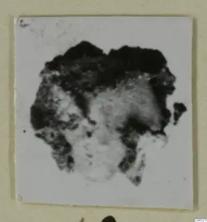 Blurred photograph of an unidentified find from Amathus, tombs 2-26, mounted on a pale card