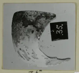 Crescent-shaped faience fragment beside a number label, from Amathus tombs