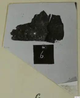Dark, broken fragment from Amathus T. 2-26 with a number label, shown in a photograph mounted on grey card.