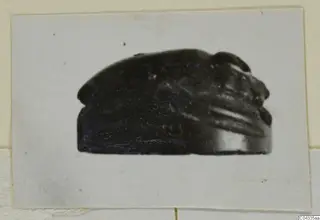 Glyptic: a dark stone scarab seen from the side, shown as a mounted photograph print
