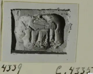 Seal impression showing a four-legged animal in profile, photographed on a mounted card