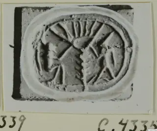 Engraved oval seal or gem, photographed on a card mount, with radiating lines and a central motif