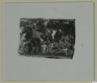 Blurred close-up of a dark, pitted object, shown as a photograph mounted on a pale card