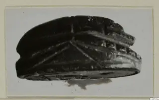 Scarab seal shown in side view, photographed on a mounted card