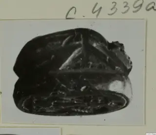 Scarab-type seal photographed on a mounted print, with a domed back and a flat base carrying incised decoration